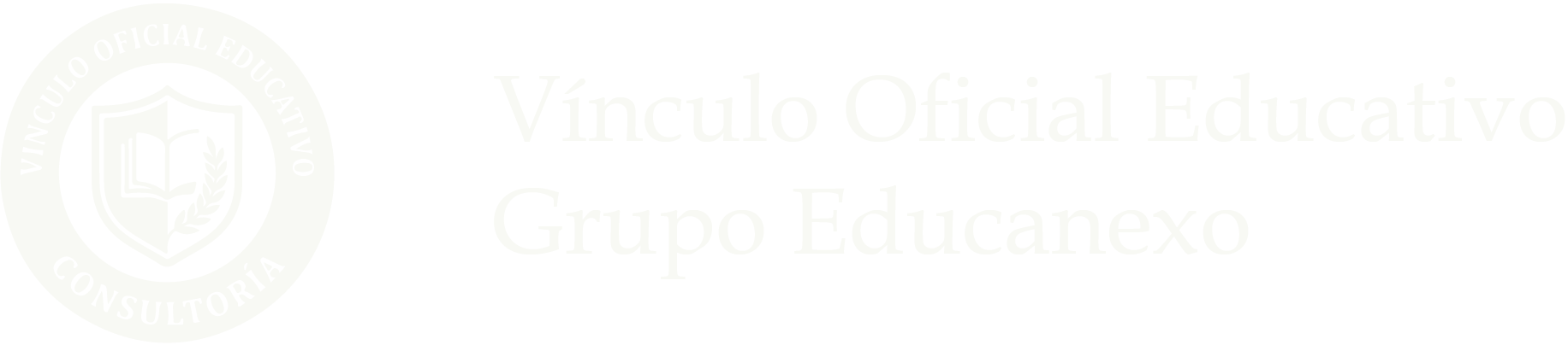 voeconsultoria.com